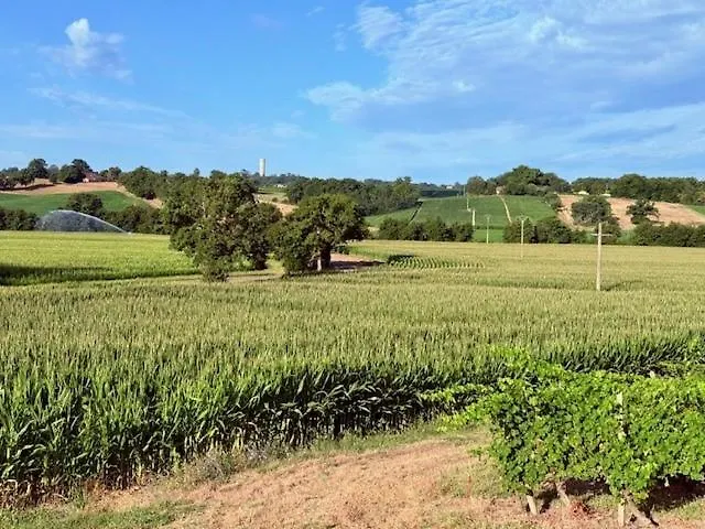 Magnifique Maison Avec Piscine Au Calme Du Gers Pouydraguin