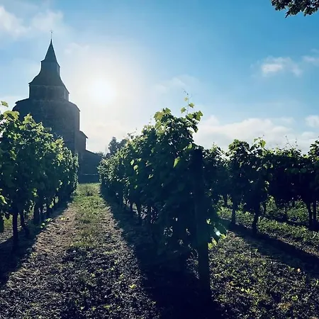 Semesterbostad Magnifique Maison Avec Piscine Au Calme Du Gers *