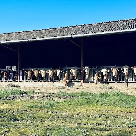 Magnifique Maison Avec Piscine Au Calme Du Gers