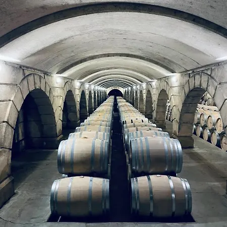 Semesterbostad Magnifique Maison Avec Piscine Au Calme Du Gers