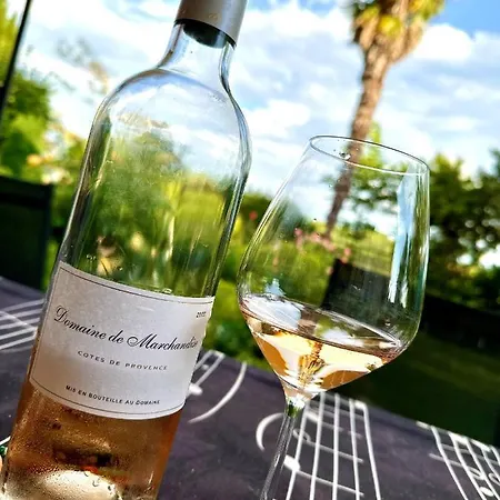 Magnifique Maison Avec Piscine Au Calme Du Gers *