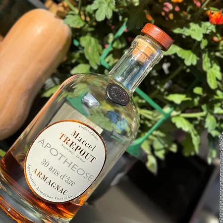 Magnifique Maison Avec Piscine Au Calme Du Gers 度假居 *