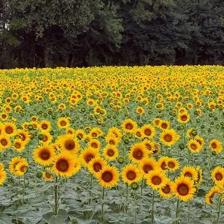 Magnifique Maison Avec Piscine Au Calme Du Gers 度假居