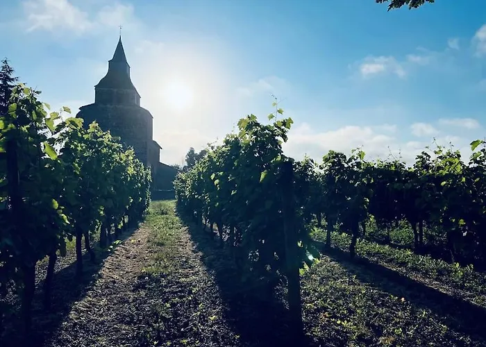 Ferienhaus Magnifique Maison Avec Piscine Au Calme Du Gers *