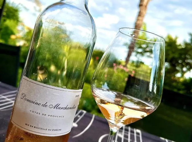 Magnifique Maison Avec Piscine Au Calme Du Gers *