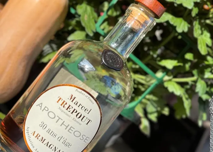 Magnifique Maison Avec Piscine Au Calme Du Gers Ferienhaus *